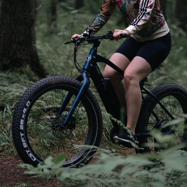 FitNord Rumble 300 Elfatbike 2024, blå (720 Wh batteri)