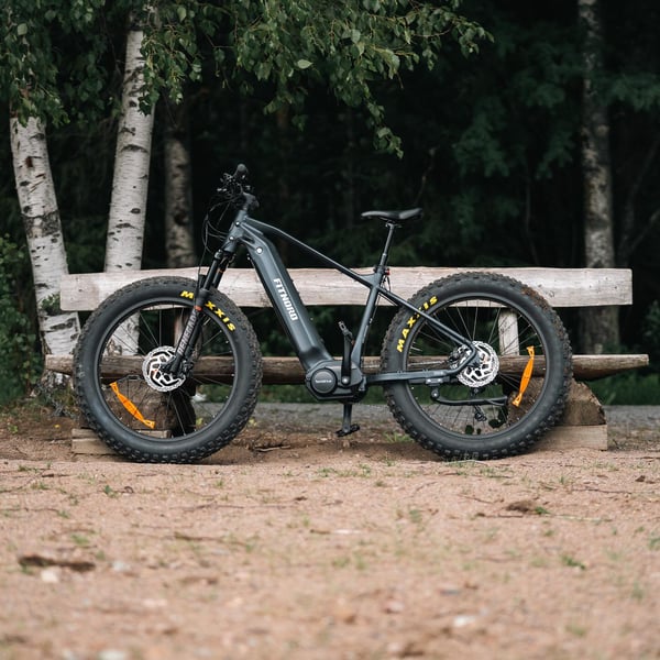 FitNord Rumble 1000 Elfatbike 2024, svart (856,8 Wh batteri) 