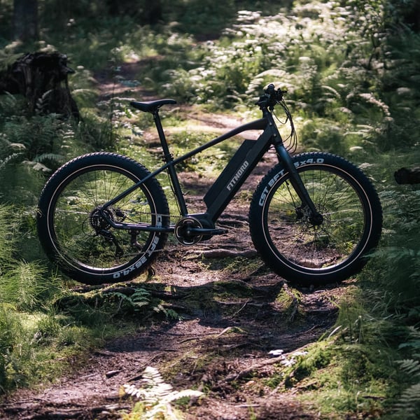 FitNord Rumble 500 Elfatbike 2024, svart (720 Wh batteri)