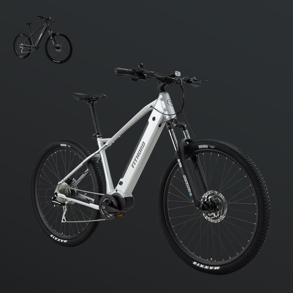 FitNord Ranger 500 Elmountainbike 2024, silver (612 Wh batteri)