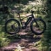 FitNord Rumble 500 Elfatbike 2024, svart (720 Wh batteri)