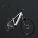 FitNord Ranger 500 Elmountainbike 2024, silver (612 Wh batteri)